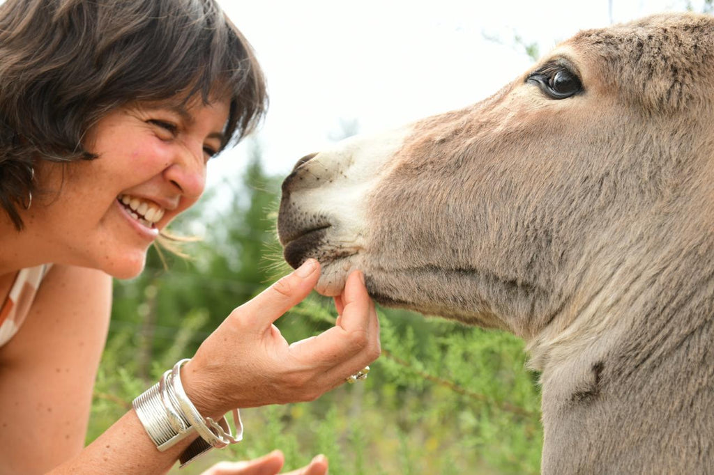 Anticipation and panic: Back on track.