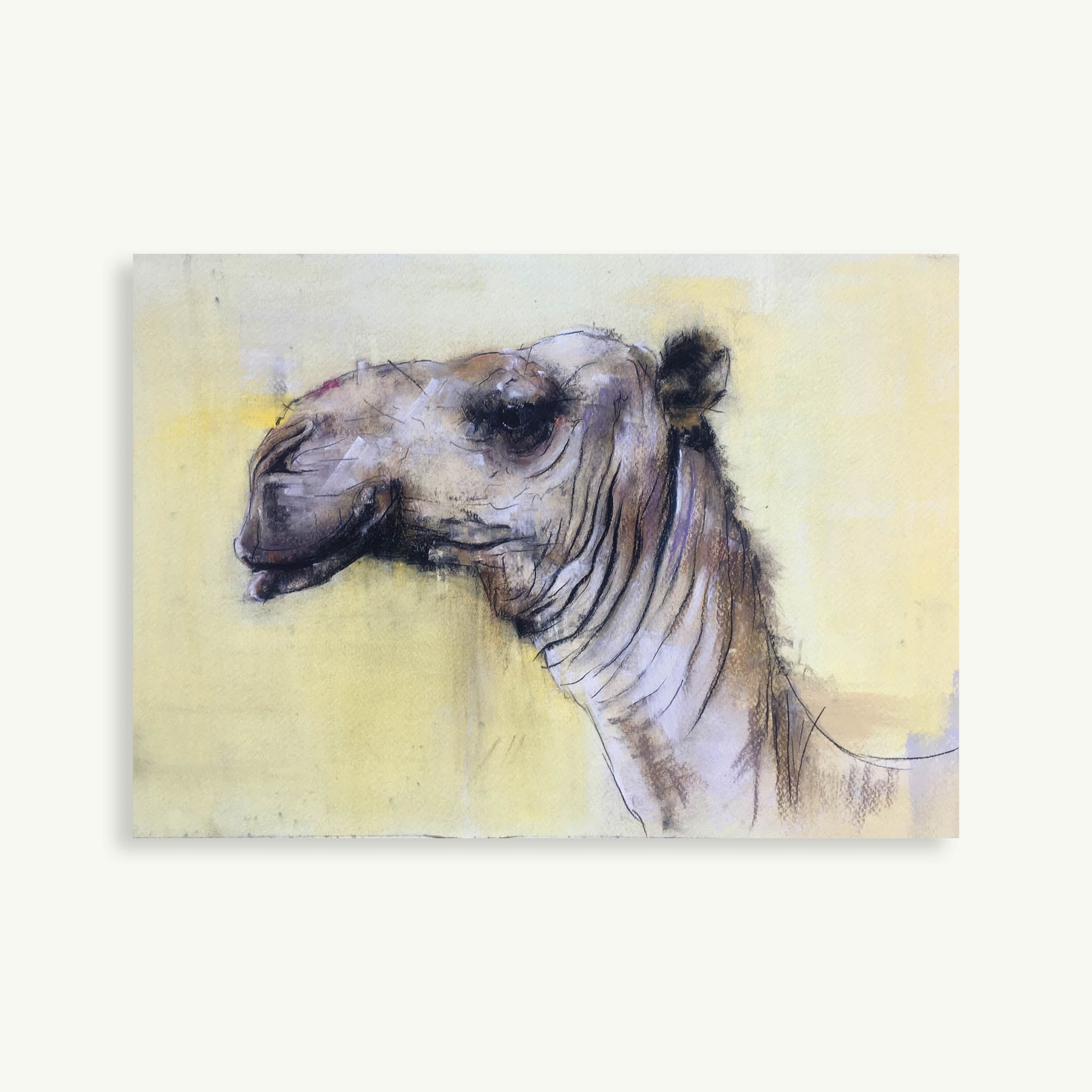 Camel Head