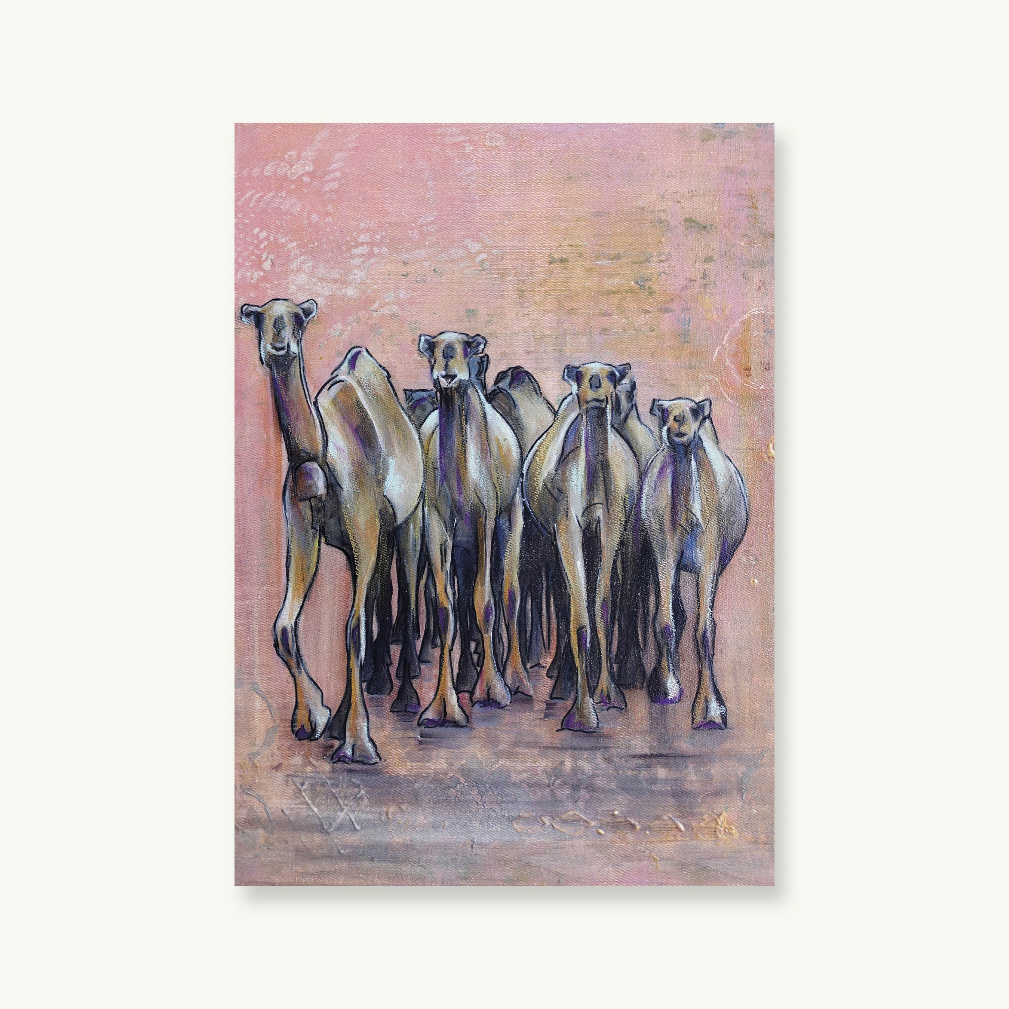 Sunset Camels